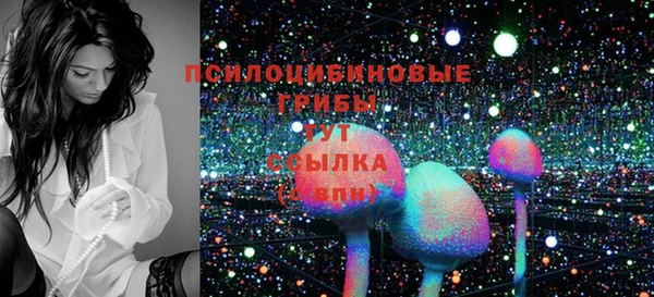 не бодяженный Вяземский