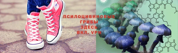 mix Вязьма