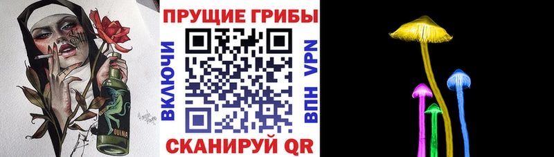 Галлюциногенные грибы ЛСД  blacksprut зеркало  Нефтекумск  где купить наркоту 